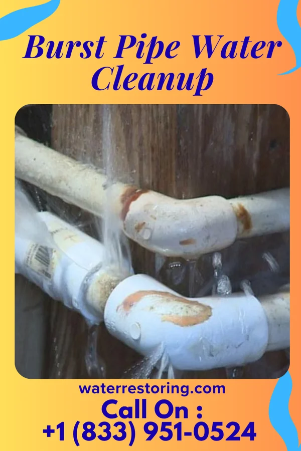 Burst Pipe Water Cleanup in Archdale, NC