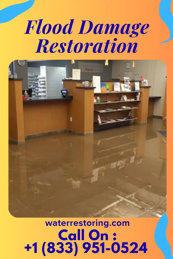 Flood Damage Restoration in Archdale, NC